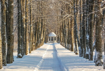 Alley and gazebo in the winter old park