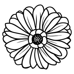 Hand drawn simple flower illustration