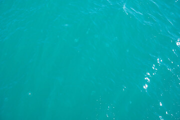 Jellyfish swim in turquoise clear sea water