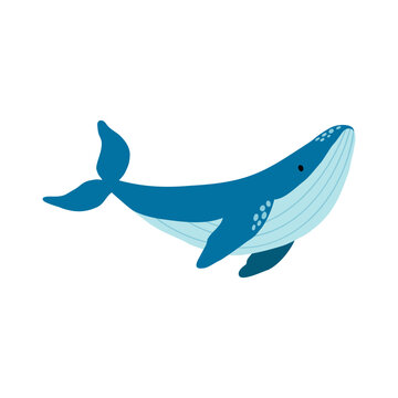 Blue whale icon vector illustration isolated on white background.