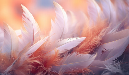 Bird feathers on a table, light pink and light orange background banner. A blend of pastel peach and coral feathers with gradient effect on a light airy canvas.
