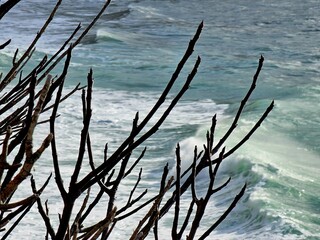 Fototapeta premium Corniglia, 5 Terre, Italy - January 05, 2024: Beautiful photography of the Cinque Terre landscape. Spectacular view of the waves with blue sky in the background in winter days. 