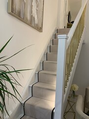 Stairs with a carpet runner