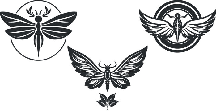 aerodruid, vintage logo line art concept. insect, butterfly, butterflies logo, great set collection clip art Silhouette , Black vector illustration on white background eps V1