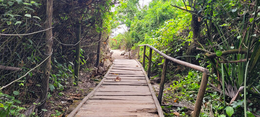 Obraz premium trail amid tropical nature on a beach in Brazil in Ubatuba