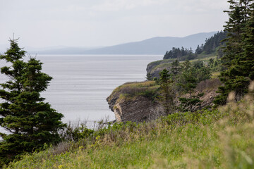 vue sur une falaise avec du gazon vert en bord de mer lors d'une journée brumeuse en été