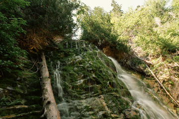 vue sur une chute à ras la pierre grise avec de la mousse verte qui pousse au travers en été dans l'ombre de la forêt - obrazy, fototapety, plakaty