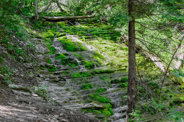 vue sur une chute à ras la pierre grise avec de la mousse verte qui pousse au travers en été
