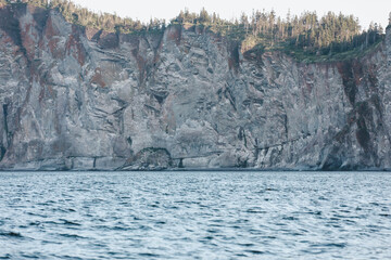vue sur une paroi rocheuse grise en bord de mer lors d'une journée d'été avec les dernières lueurs du soleil sur la forêt au dessus de la falaise