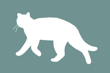 Walking cat illustration. Hand drawn vector in minimalist style