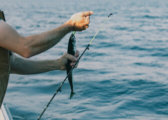 vue sur un petit poisson au bout du fil accroché à la canne à pêche avec les mains d'un homme en train de le déprendre au dessus de l'eau
