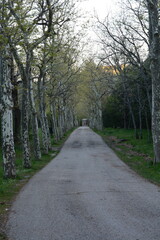 paseo tranquilo
