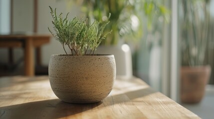  a potted plant sitting on top of a wooden table next to a planter with a green plant in it on top of a wooden table next to a glass door.