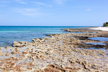 Grand Cayman Island Rocky Seven Mile Beach