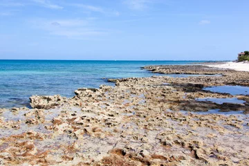 Cercles muraux Plage de Seven Mile, Grand Cayman Grand Cayman Island Rocky Seven Mile Beach
