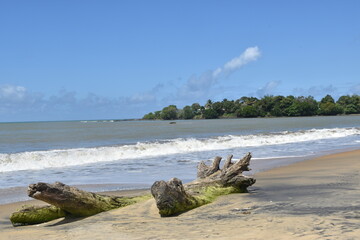 Beach with driftwood in 'Fenerive Est' town in Madagascar. 