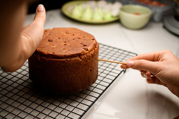 Pastry chef baked a pie in the oven and takes it out of the baking dish