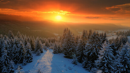 Aerial view of the forest in winter time at sunset, landscape snow covered trees nature - beautiful Europe pine forest mountain, season travel white frozen nature idyllic