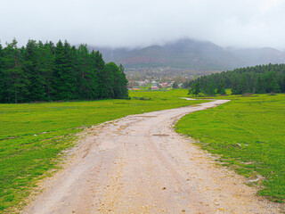 At Yaylası, Bolu, Turkey