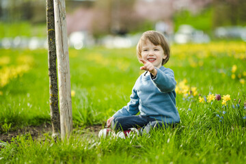 Cute toddler boy having fun between rows of beautiful yellow daffodils blossoming on spring day.