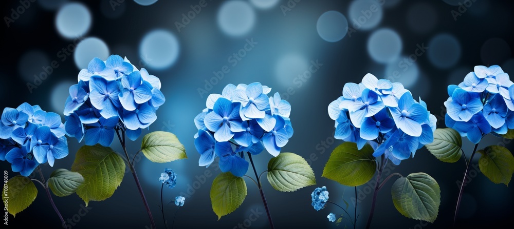 Poster blue hydrangea blossom on magical bokeh background with copy space for text placement