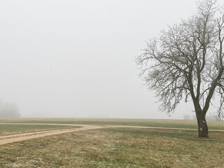 Klimawandel in Europa