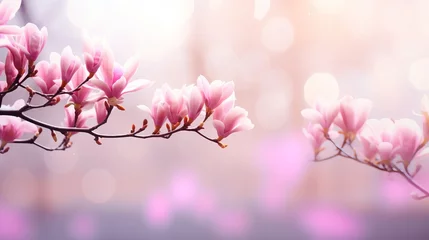 Zelfklevend Fotobehang Pink magnolia on isolated magical bokeh background with copy space for text on left side © Ilja