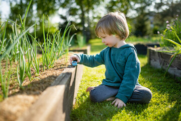 Cute toddler boy playing outdoors on sunny spring day. Child exploring nature.