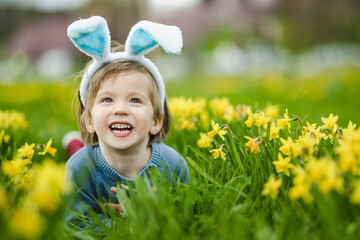 Cute toddler boy wearing bunny ears having fun between rows of yellow daffodils blossoming on...