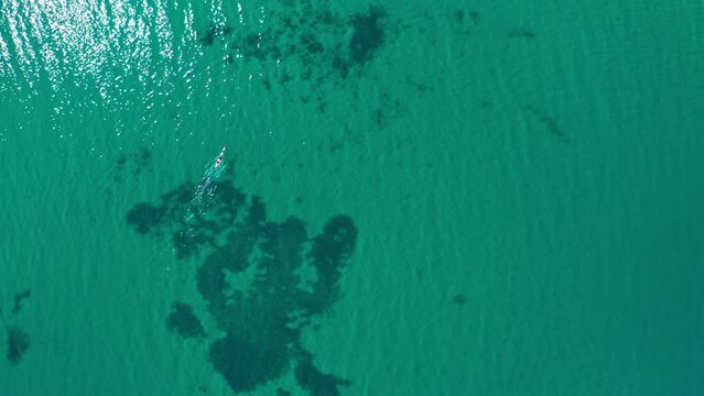 Sea kayaking. South Australia recreation and marine sports beautiful aerial view