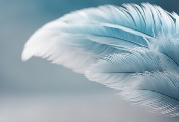 Airy soft fluffy wing bird with white feathers close-up of macro pastel blue shades on white backgro