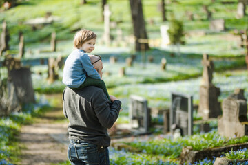 Cute toddler boy and his father admiring blue scilla siberica spring flowers blossoming in April in Bernardine cemetery in Vilnius, Lithuania.