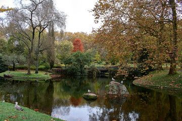 Autumn fills the Castrelos park in Vigo with reddish, ocher and yellow colors in its pond
