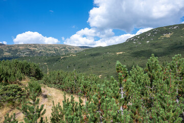 Landscape of Rila mountain near The Fish Lakes, Bulgaria