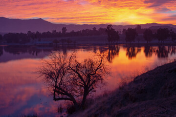 Fototapeta na wymiar This is a picture of the Sunrise at Lake Ming Bakersfield, CA.