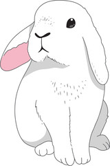 Minimal bunny line art doodle cartoon PNG