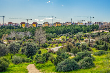 Landscape of Public Felipe VI Park or Valdebebas Forest Park - Madrid’s biggest urban park (340 hectares). Madrid, Spain.