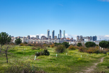 Fototapeta premium Landscape of Public Felipe VI Park or Valdebebas Forest Park - Madrid’s biggest urban park (340 hectares). Madrid, Spain.