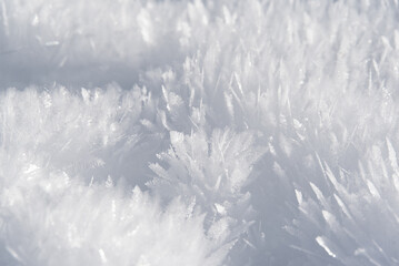 Winter Wonderland im Leutasch, Seefeld