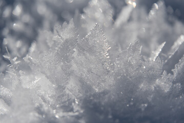 Winter Wonderland im Leutasch, Seefeld