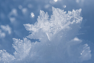 Winter Wonderland im Leutasch, Seefeld