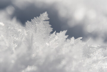 Winter Wonderland im Leutasch, Seefeld