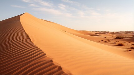 Fototapeta na wymiar Huge sand dunes in the middle of a desert