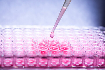 geneticist working with microplate for cells analysis in the genetic lab. Researcher working with...