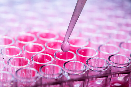 research science cell culture at the medicine, medical and cell culture laboratory