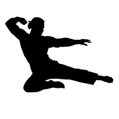 Fototapeta na wymiar silhouette of kung fu martial arts fighter jump kick illustration