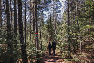 Obraz premium hiking in the woods