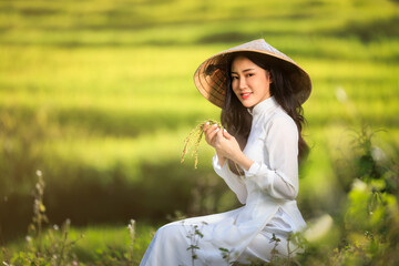 young woman in vietnamese dress sitting in a rice field in her hand holding golden rice paddy,