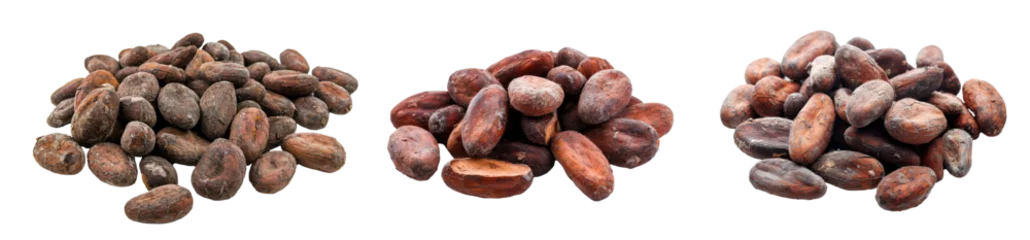 Tuinposter Set of stack of cocoa beans on a transparent background © Volodymyr