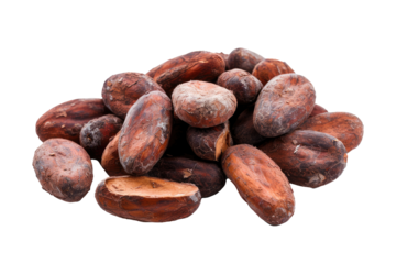 A stack of cocoa beans, cut out - stock png.